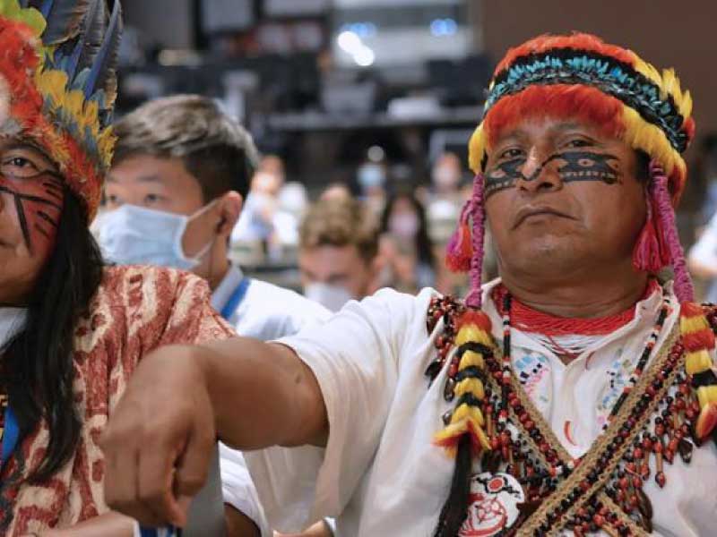 pueblos indígenas del Amazonas